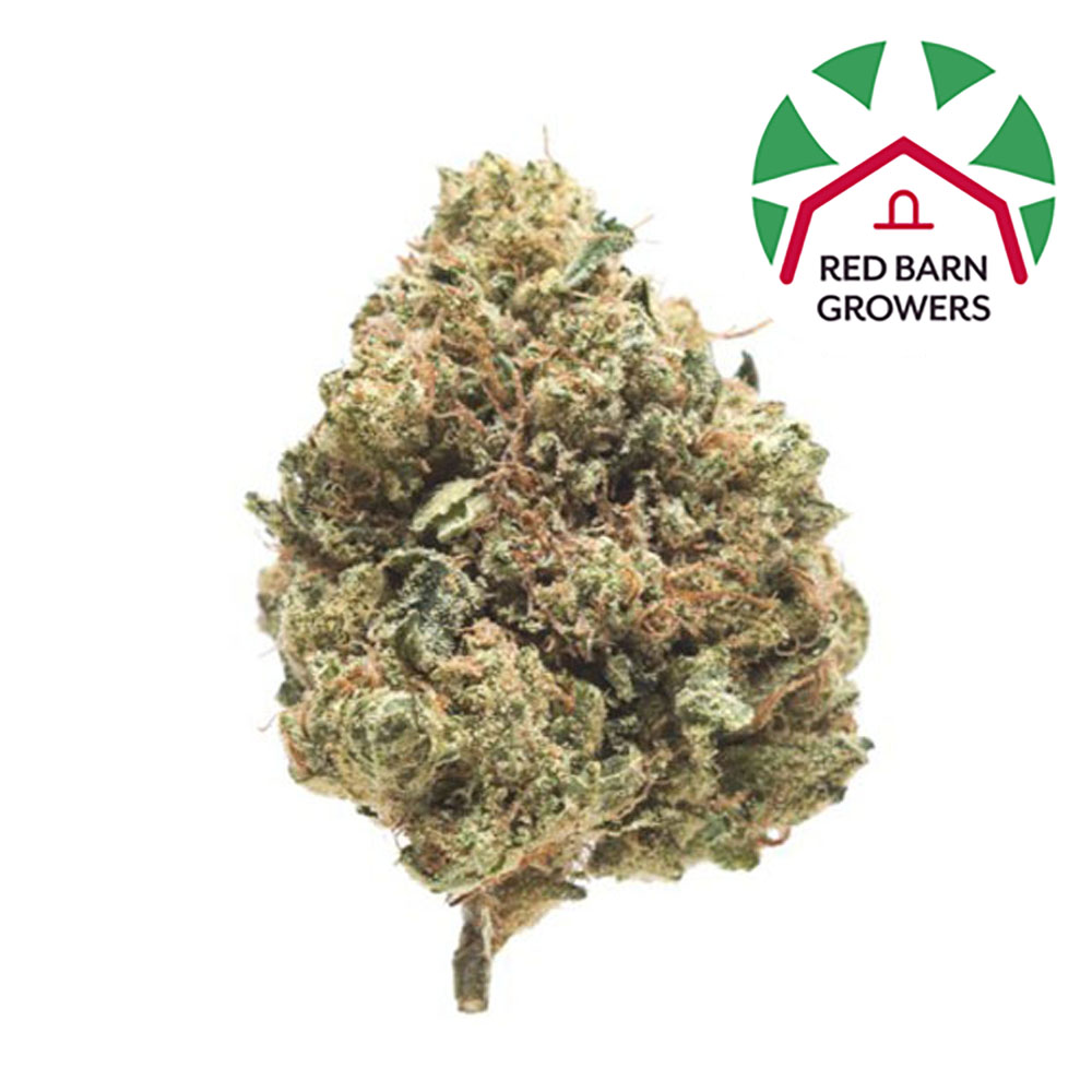 Larry OG Kush